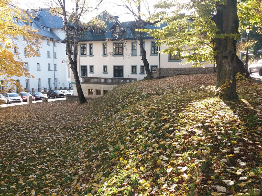 Hotel Tantzi Sinaia Exterior photo